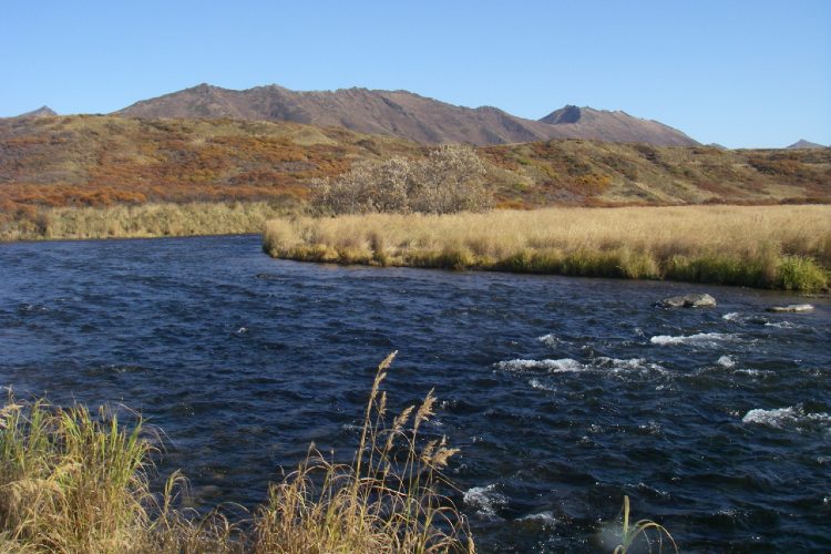 Fly Fishing Kodiak Island Guided Trips Dave Duncan and Sons, Ltd.