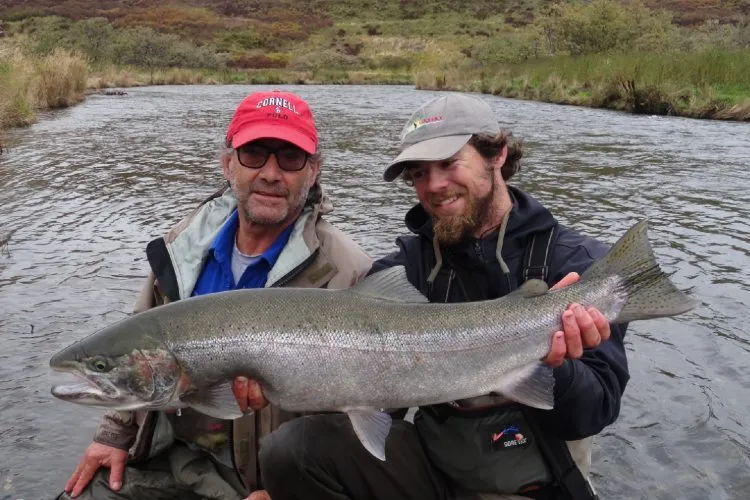 a297596a78bbeb44ce8a4113fe9cb294583b9dfa